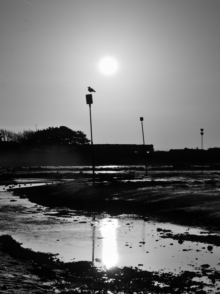 Emsworth Sunrise Silhouette