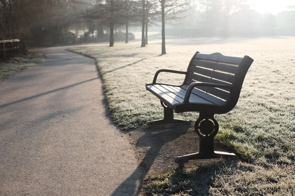 Frozen Bench warmed by Sun