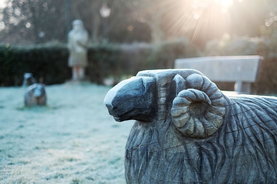 Ram sculpture covered in frost