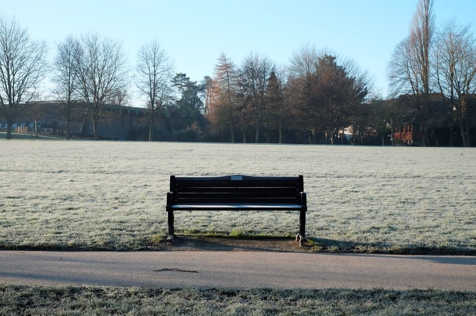 Bench in a field