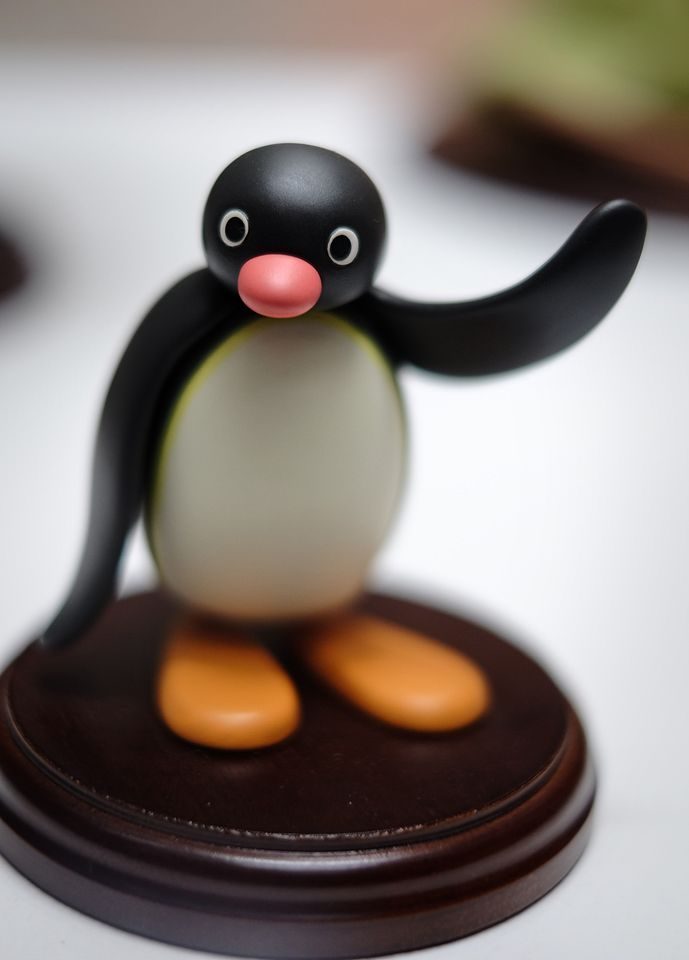 Pingu model