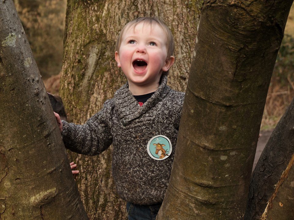 FUJIFILM X-E2 50.0 mm f5.6 1/60s Tree Climber #2