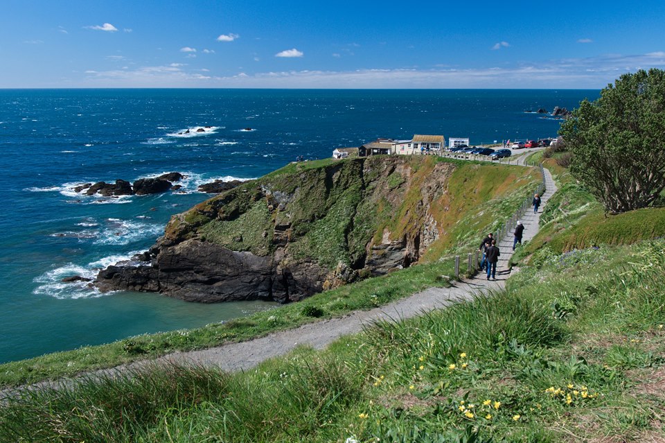 Lizard Point