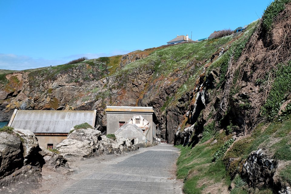 Lizard Point