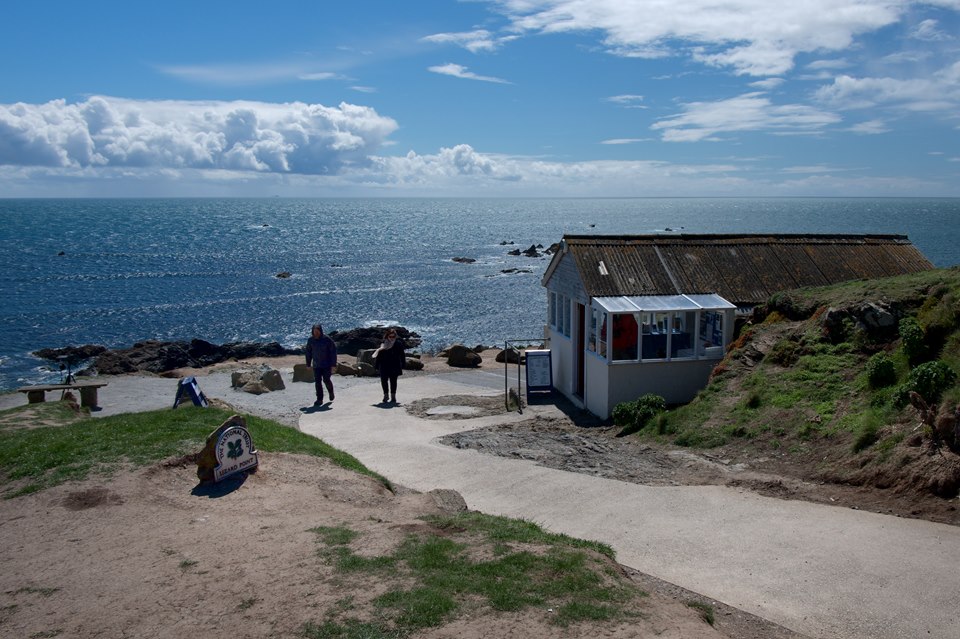 Lizard Point