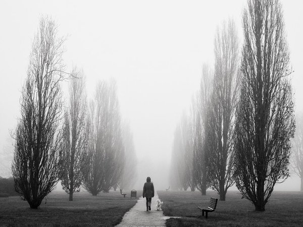 Foggy Horsham Morning