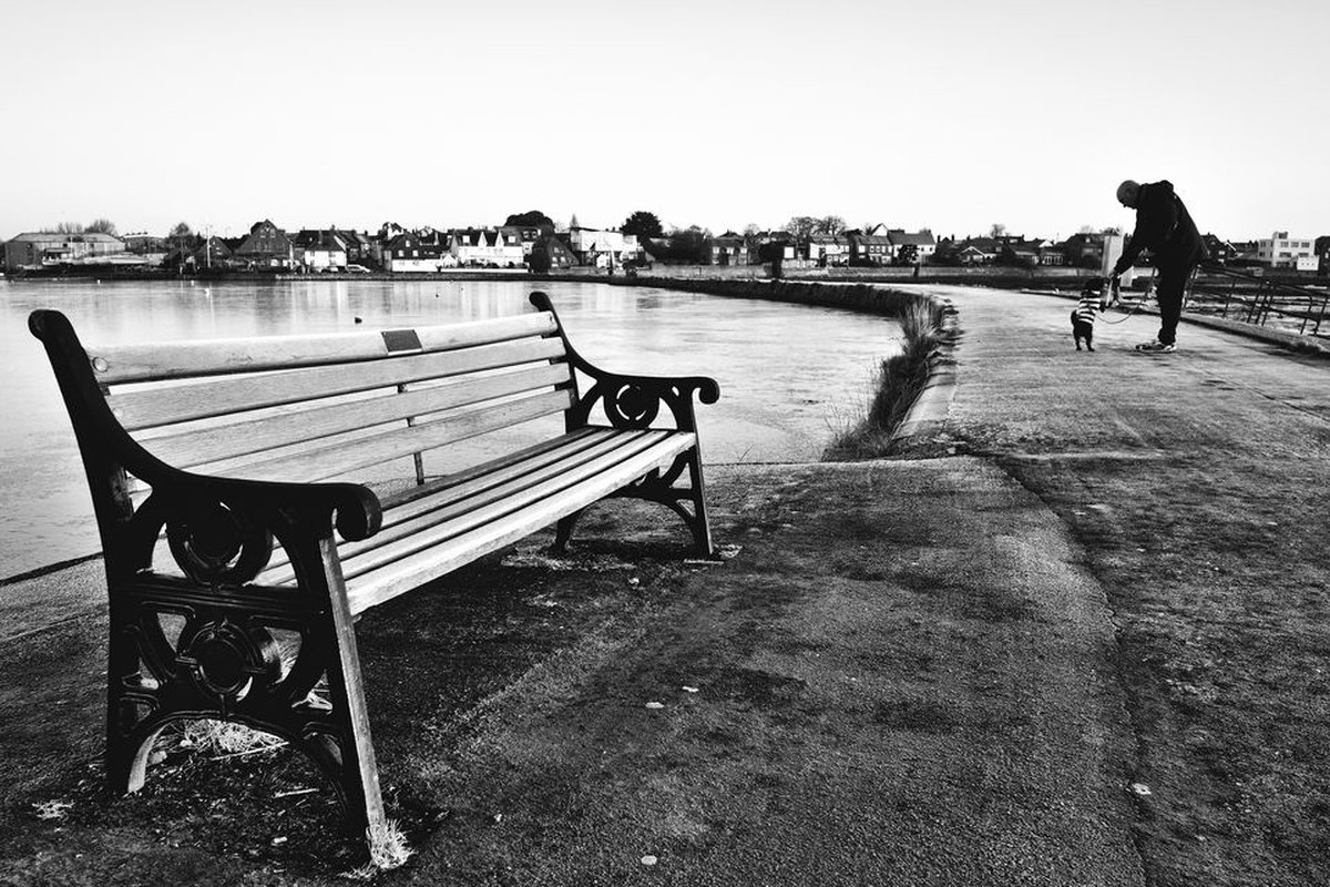 Harbour Contrasts