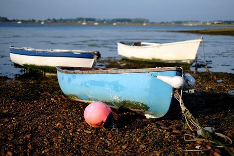 Beached Boats