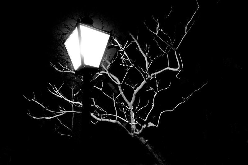 Snatching the Light