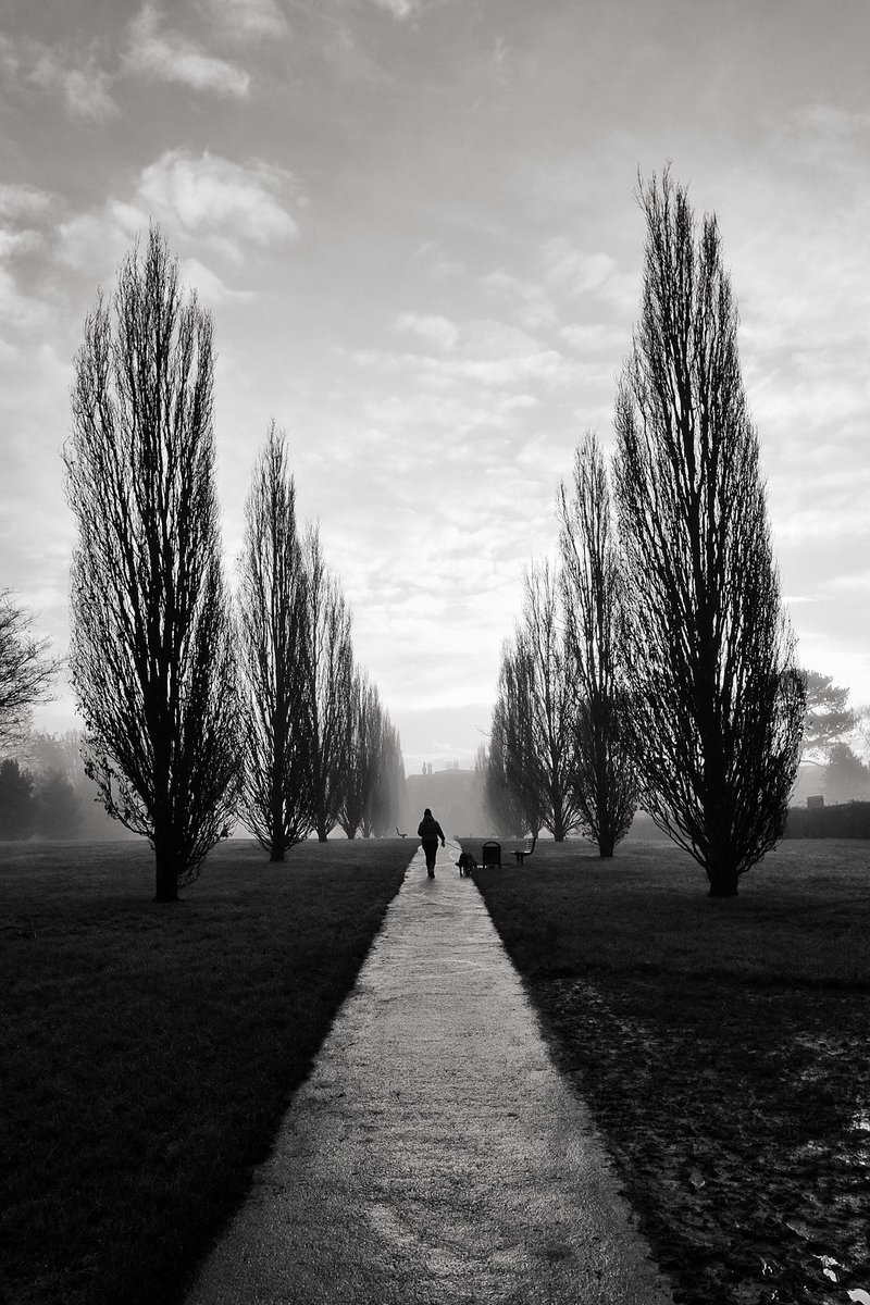Horsham Fog