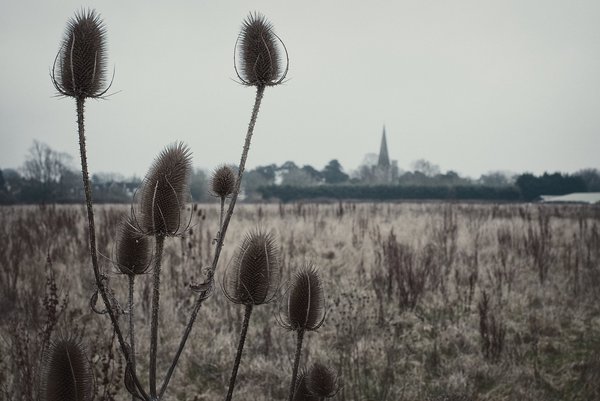 Mono-Colour Blends