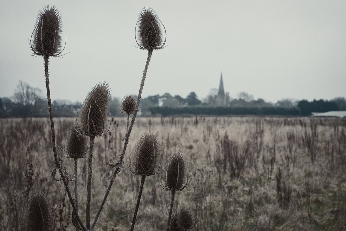 Mono-Colour Blends