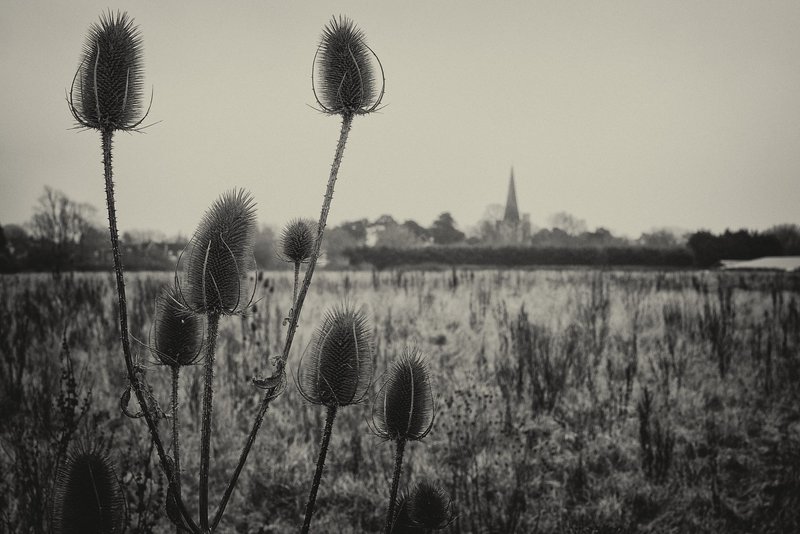 Redlands Grange Nature Reserve